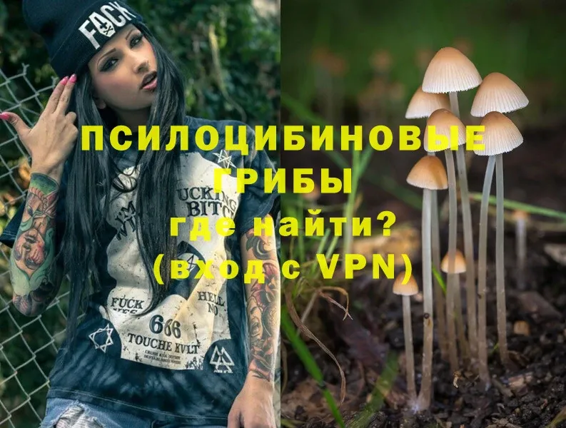 купить  сайты  Белореченск  Галлюциногенные грибы Psilocybine cubensis 